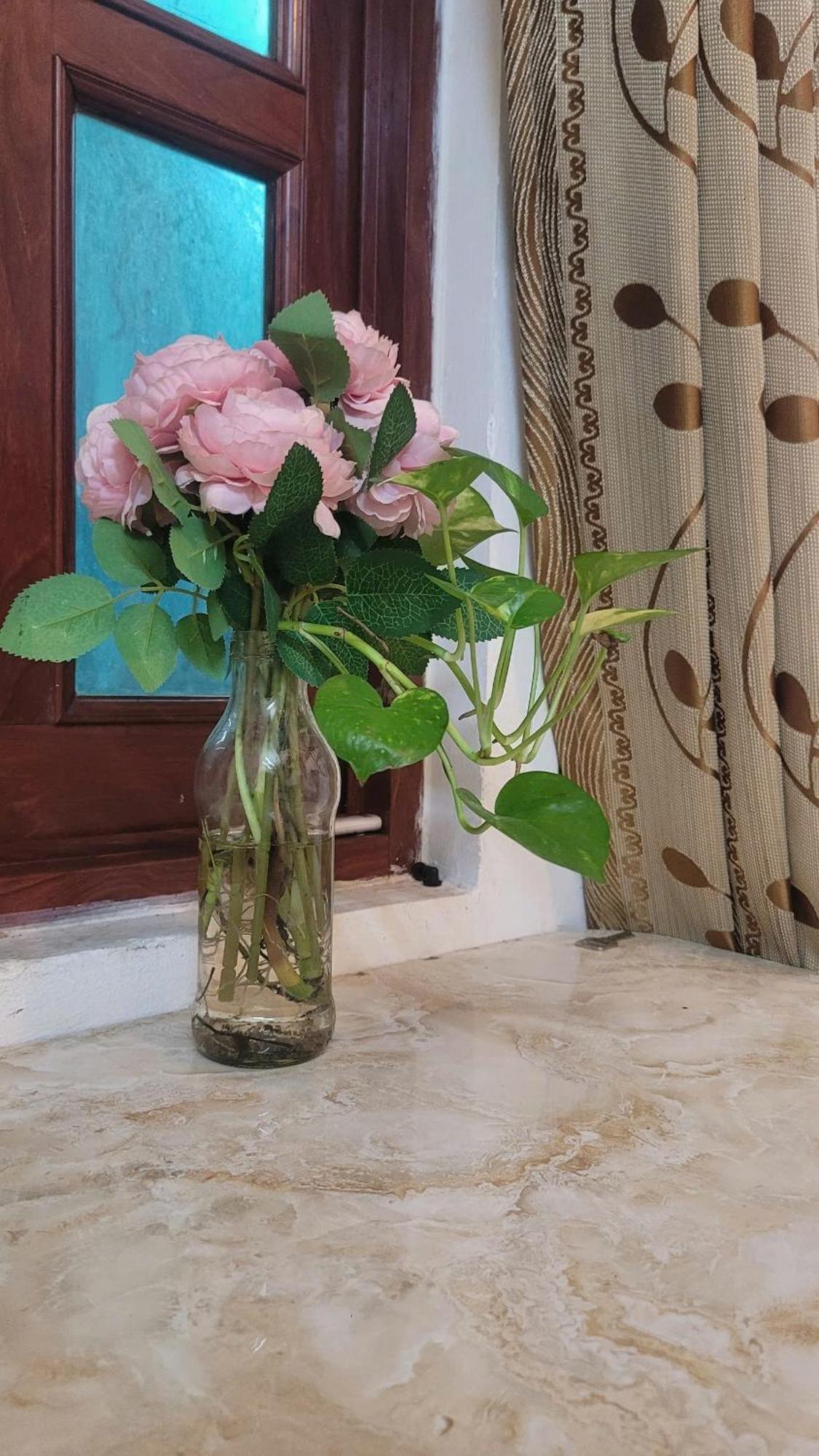 Homestay Fairy'S House TP. Hồ Chí Minh Ngoại thất bức ảnh
